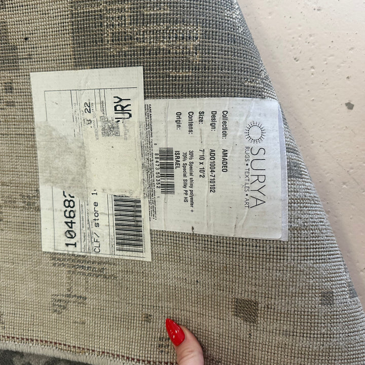Contemporary Gray  Area Rug